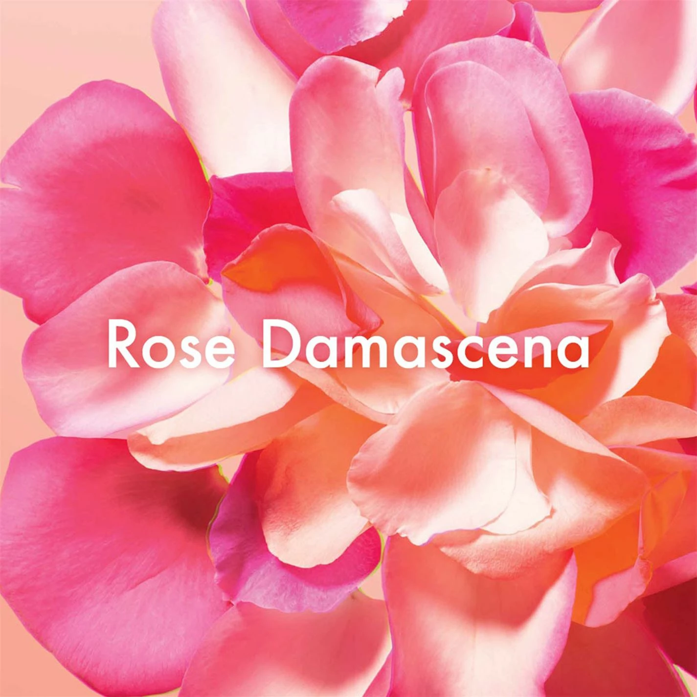 Origins Well Off Makeup Remover 150ml 4 Origins Well Off Makeup Remover 150ml - Image 4