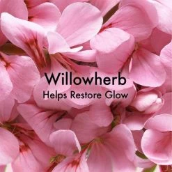 Origins Original Skin Renewal Serum with Willowherb 50ml -Valentino Bags store online 77158169 xxl a2