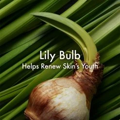 Origins Three Part Harmony Oil-infused Serum -Valentino Bags store online 77158569 xxl a3