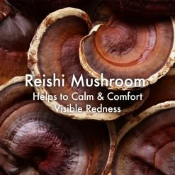 Origins Mega-Mushroom Skin Relief Face Cleanser -Valentino Bags store online 77197473 xxl a2