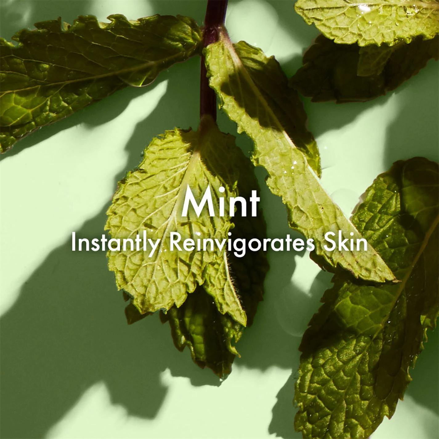 Origins Checks & Balances Frothy Face Wash 3 Origins Checks & Balances Frothy Face Wash - Image 3