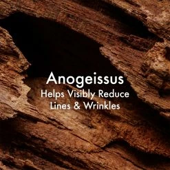 Origins Plantscription Powerful Lifting Overnight Mask 7 Origins Plantscription Powerful Lifting Overnight Mask -Valentino Bags store online 77204769 xxl a3