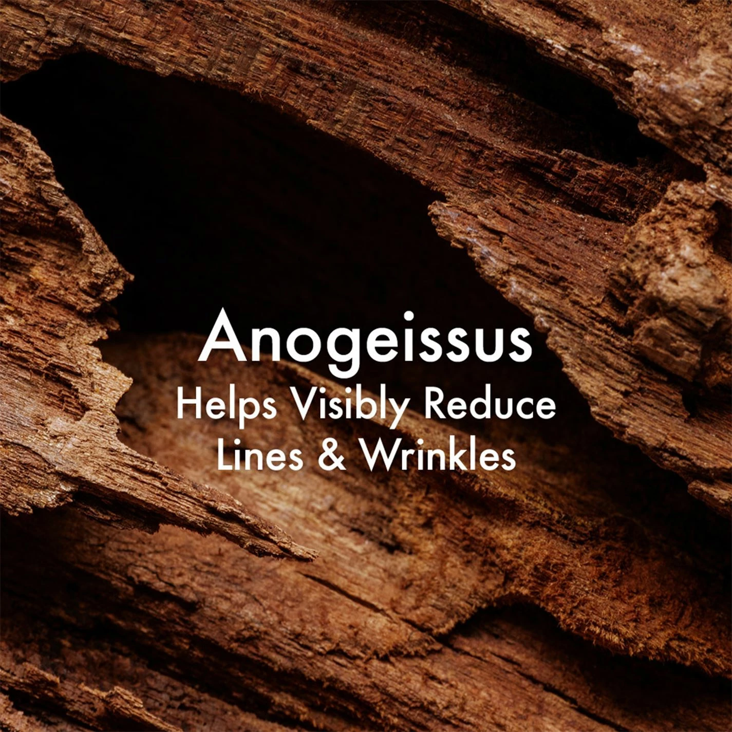 Origins Plantscription Powerful Lifting Overnight Mask 4 Origins Plantscription Powerful Lifting Overnight Mask - Image 4