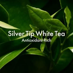 Origins A Perfect World SPF 40 Age-Defense Moisturiser -Valentino Bags store online 77216369 xxl a4