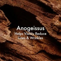 Origins Plantscription Youth-Renewing Power Night Cream -Valentino Bags store online 77216770 xxl a3