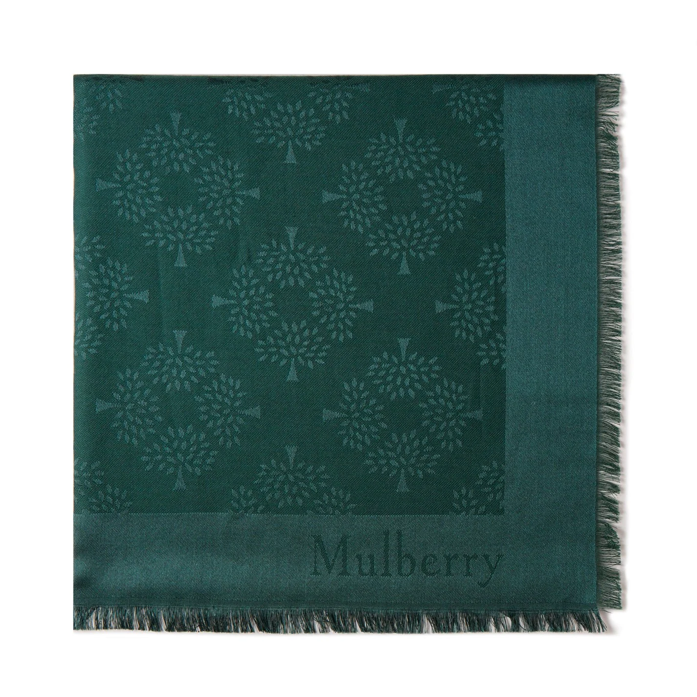 Mulberry Mulberry Tree Square 1 Mulberry Mulberry Tree Square