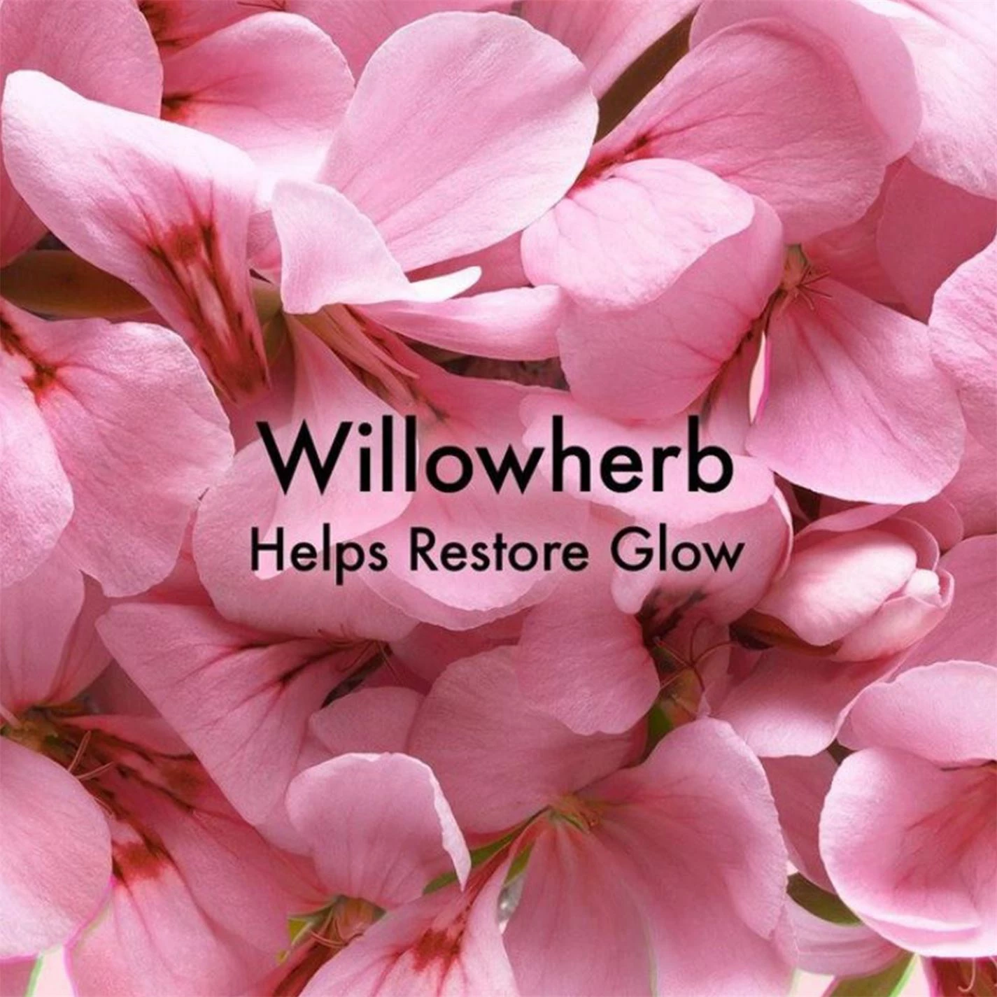 Origins Retexturizing Mask With Rose Clay 5 Origins Retexturizing Mask With Rose Clay - Image 5